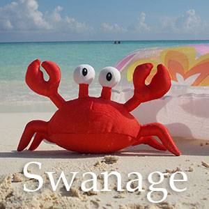 Beach Visit: Swanage logo